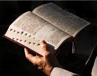 Bible Studies